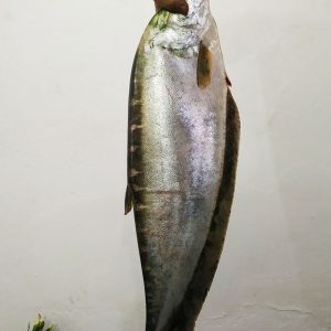 Home fresh orange juice