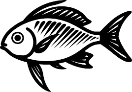 images 15 removebg preview